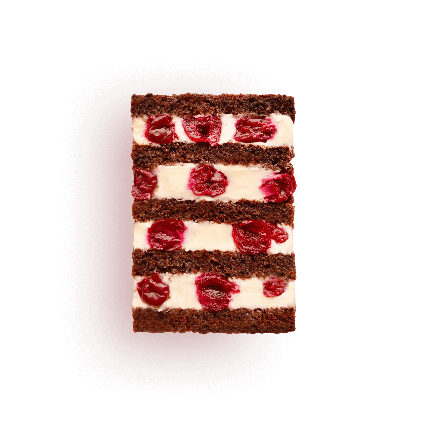 Намелачний ліс